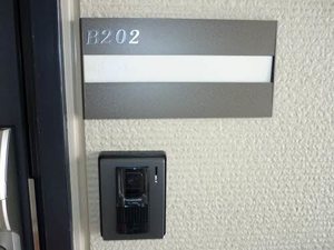 フォーレス ラージムーン B202号-2