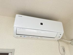 セフィラオオムラA 0101号-12