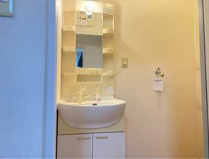 プリムローズ 0102号-7