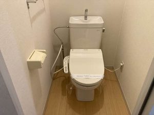 プリムローズ 0102号-8