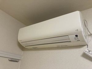 プリムローズ 0102号-9