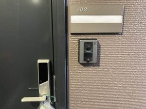 プリムローズ 0102号-11