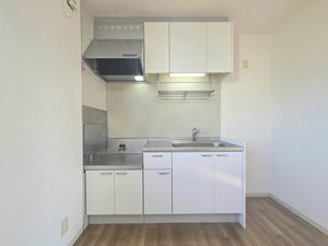 メゾンゆうあい 0202号-4