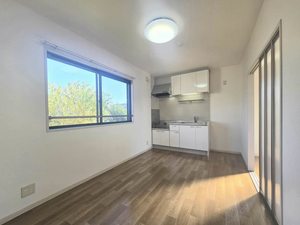 メゾンゆうあい 0202号-15