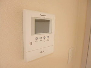 メイプルハイツ 0203号-11