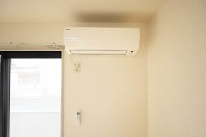 モーニンググローリー 0102号-13