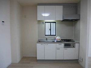 ステラＴＡＫＡＴＳＵＫＡ 001F号-3