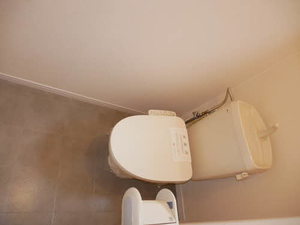 ステラＴＡＫＡＴＳＵＫＡ 001F号-11