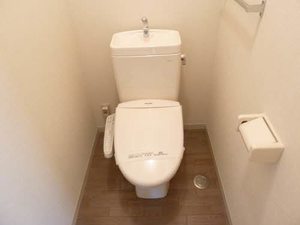 ハナミズキ安田３ L102号-11