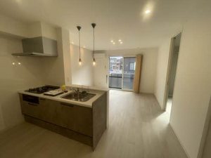 ディアスニューコスモス A102号-1