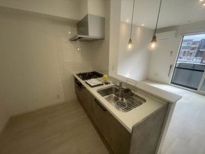 ディアスニューコスモス A102号-3