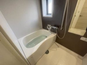 ディアスニューコスモス A102号-10