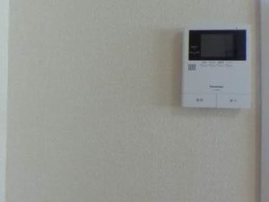ＴＯＭＢＯ　Ａ 0101号-7