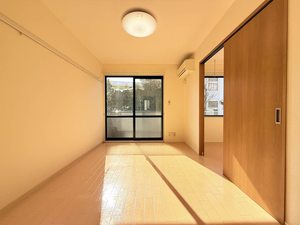 エーデルワイス B101号-2