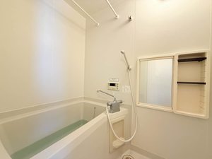 エーデルワイス B101号-9