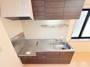 エーデルワイス B101号-13