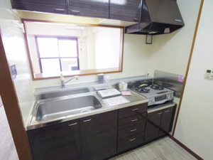 エコーフェニックス伏屋 0502号-8