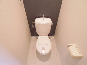 エコーフェニックス伏屋 0502号-11