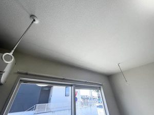 サナル・フローラ 0102号-11