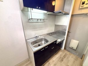 サナル・フローラ 0102号-13