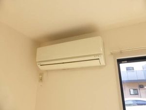 ひまわり B102号-8