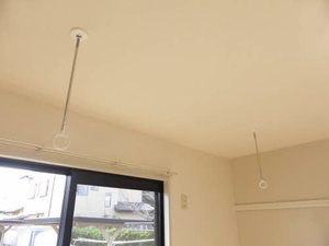 ひまわり B102号-10