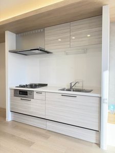 セントポーリア 0202号-6