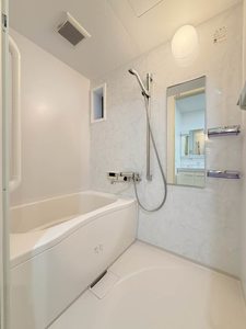 セントポーリア 0202号-11