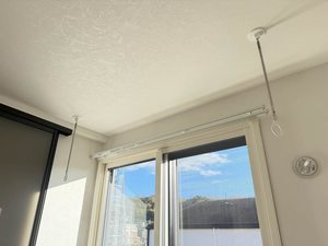 セントポーリア 0202号-14