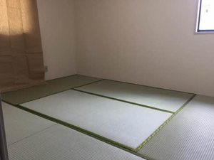 グリーンパレス C101号-9