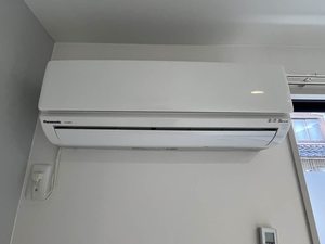 ディアス　若草 0101号-15