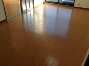 セジュールⅡ 0101号-3