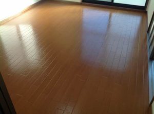 セジュールⅡ 0101号-6