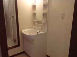 セジュールⅡ 0101号-8