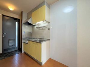 メゾンドール川原 0201号-9