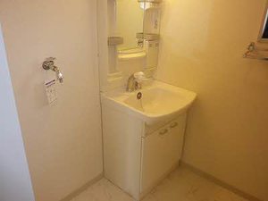 エル　フローラ 0201号-3