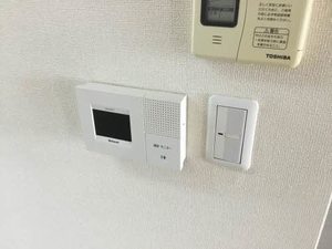 プリマヴェラ B201号-8