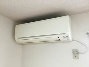 プリマヴェラ B201号-9