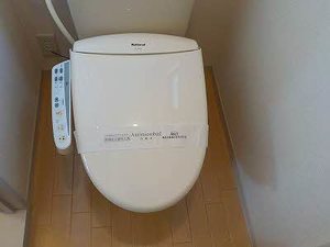 ディアス　ステイ 0202号-6