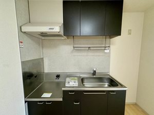 メゾンドラフィーネI 0102号-3