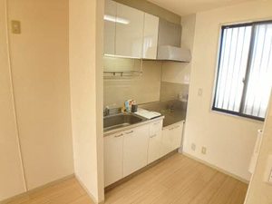 ディアスブライト 0205号-8