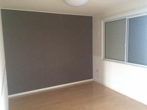 ディライフル A101号-10