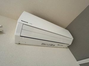 プレミアムフラット 0101号-9