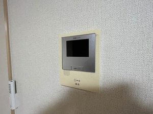 プレミアムフラット 0101号-10
