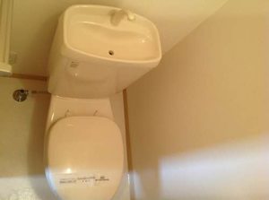 シャーメゾン・Ｓ 0201号-5