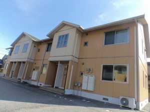 ルピナス A103号-2