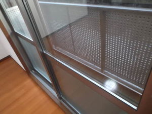 ルピナス A103号-5