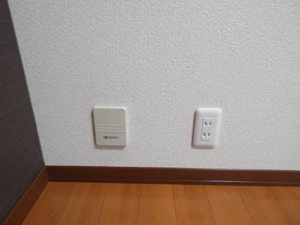 ルピナス A103号-7