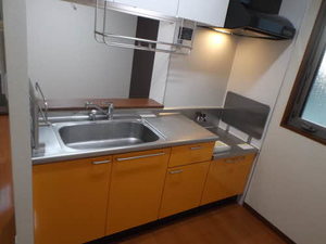 ルピナス A103号-8