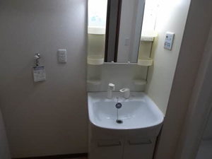 ルピナス A103号-13